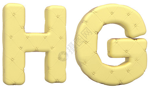 豪华软皮革字体H G字母图片