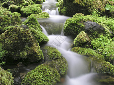 山区流石头环境风景瀑布荒野流动旅行植物岩石季节图片