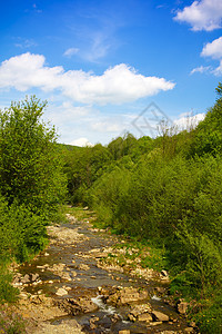 山山河溪流瀑布蓝色石头森林荒野公园环境风景岩石图片