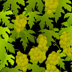 葡萄无缝栽培植物浆果墙纸滚动叶子藤蔓食物季节装饰品图片
