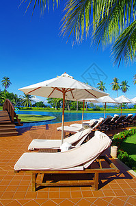池奢华天堂休息太阳椅子休息室游泳棕榈热带蓝色图片
