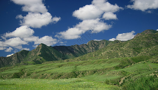 自然景观 草地和山脉 阿尔泰野生动物蓝色公园阴影天空场景草原丘陵国家旅行晴天图片