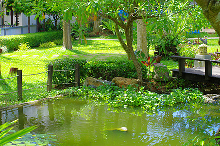 亚洲花园叶子石头冥想小路植物花瓣池塘岩石森林溪流图片