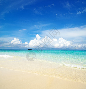 海 海海景海岸放松海洋晴天热带支撑蓝色天堂阳光图片