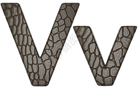 鳄鱼皮肤字体V 小写和大写字母图片