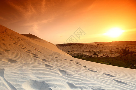 沙漠地区干旱勘探爬坡沙漠寂寞孤独地形日落旅游波纹图片