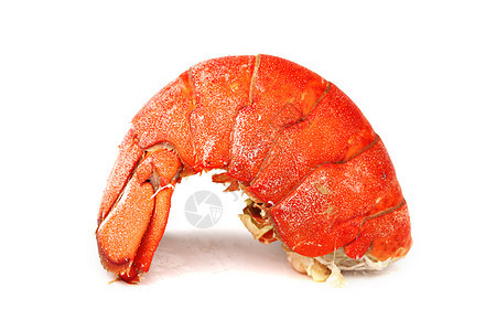 龙虾尾食物关节贝类动物海鲜生活点燃甲壳白色美食图片