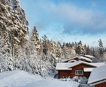 冬季寒雪风景中的原木房屋图片