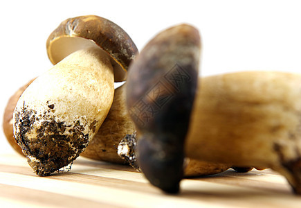 蘑菇     波西尼 博利特斯食物橡木种植者栽培鉴别牡蛎运动牛扒食谱肉汁图片