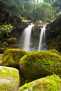 森林的瀑布丛林岩石石头叶子流动风景季节热带荒野公园图片