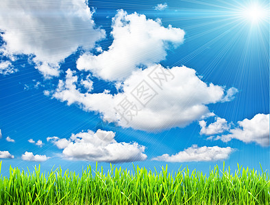 夏季背景草地植物太阳太阳光绿色阳光蓝色天空射线生态背景图片