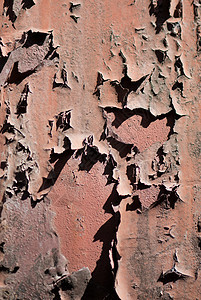 铁阴影风化金属腐蚀氧化床单棕色盘子工业材料图片