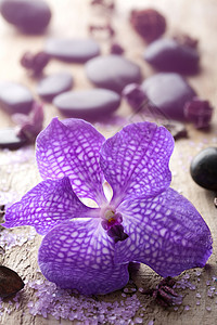 用于温泉的兰花草本植物紫色石头化妆品岩石浴室疗法奢华卫生冥想图片