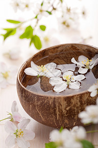 白花在碗中的水壶中白色温泉风格香气花瓣盘子植物棕色木头草本图片