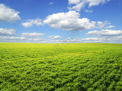 字段农场季节土地全景草地农业阳光牧场天气风景图片