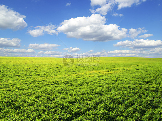 字段农场季节土地全景草地农业阳光牧场天气风景图片