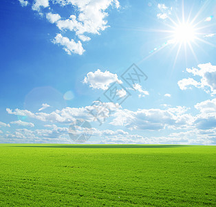 字段草地土地阳光地平线风景农场全景乡村植物农业图片