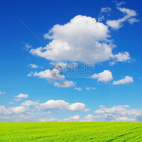 字段空地公园环境花朵天空农村农场草地丘陵地面图片