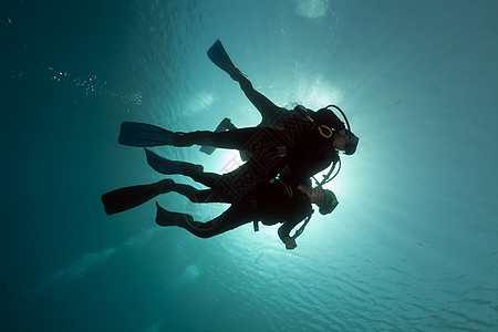 红海的Scuba潜水员珊瑚射线海景植物潜水阳光盐水异国生活太阳图片