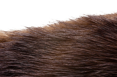 浅皮帽大衣皮肤皮革材料哺乳动物外套头发愁云毛皮图片