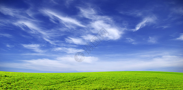 字段农场草地地平线远景季节风景天气土地牧场农业图片