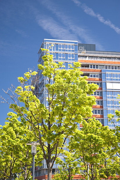 现代建筑高层港口天空城市高楼天际蓝色绿色房子图片