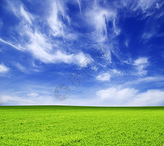 字段牧场风景植物土地全景农场草地农业天气天空图片