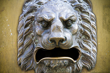 狮子雕塑 建筑的装饰 whishesbas救济图片