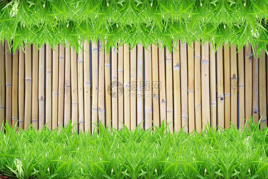 竹底的绿草桌面季节快乐草地生长风格植物花园国家装饰图片