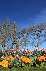 巴黎春天景观绿色铁塔旅行首都纪念碑黄色战神季节郁金香图片