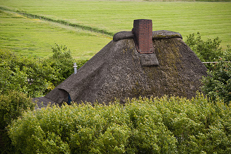 旧屋顶茅草烟囱房子广度绿色海岸地平线背景图片