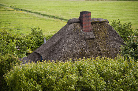 旧屋顶绿色茅草堤防房子背景图片