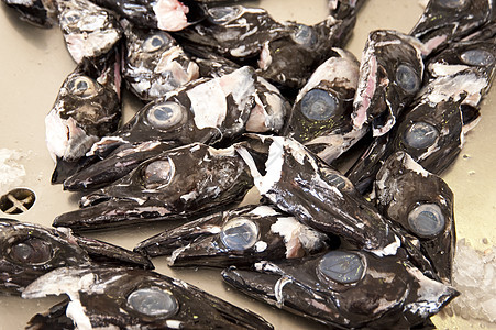 马 提拉拖网蚜虫骨头食物鱼骨渔业营养市场钓鱼鱼片图片