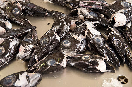 马 提拉海鲜市场拖网渔业钓鱼烹饪营养鱼骨大厅蚜虫图片