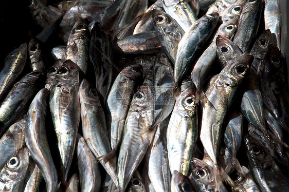 鱼市场营养海鲜渔业大厅食物钓鱼拖网图片