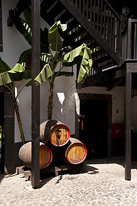 马 提拉酒桶酒厂葡萄酿酒师藤蔓种植图片