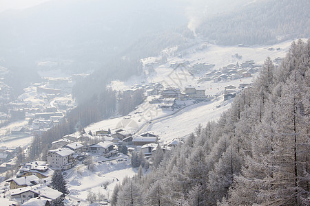 积雪中的森林环境天气首脑降雪天空木头童话旅行树木全景图片