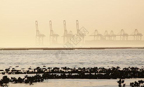 雾雾的清晨集装箱起重机场景码头港口海岸线薄雾运输货物城市天际进口图片