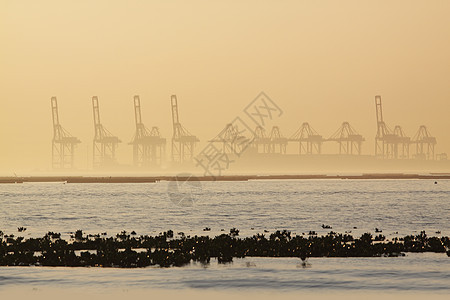 雾雾的清晨集装箱起重机港口货物商业场景海岸线船运天际进口城市薄雾图片