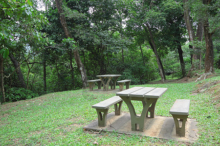 森林中的恶劣地点植物椅子家具草地小路旅行季节公园场景场地图片