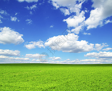 字段全景风景乡村农业土地季节阳光绿色农场天气图片