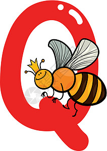 Q 用于皇后蜂蜜女王蜂昆虫教学字母学习女王插图幼儿园语言孩子们图片