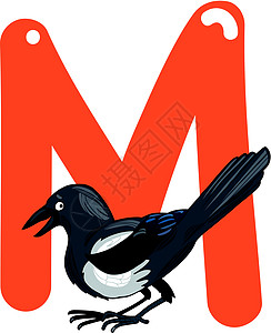 M为磁石插图幼儿园孩子们语言漫画动物群教育学习字母学校图片