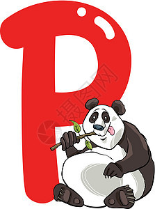 熊猫的P班级字母拼写公司孩子们动物群底漆动物园学校动物图片