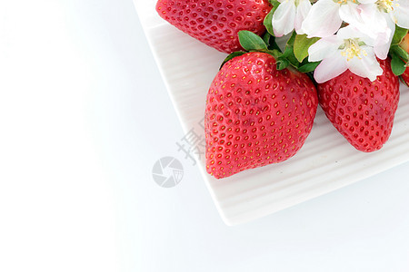 红草莓水果花园营养植物植物群浆果饮食农业绿色食物图片