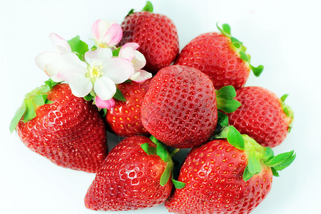 红草莓白色水果植物群饮食食物农业甜点植物绿色浆果图片