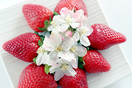红草莓植物绿色白色食物营养农业植物群水果甜点花园图片