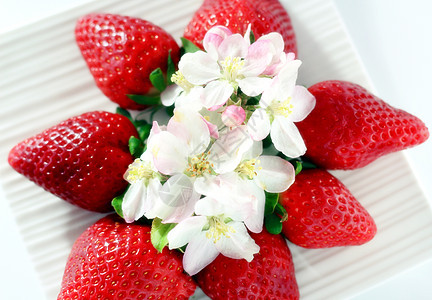 红草莓植物红色浆果绿色农业甜点植物群饮食营养白色图片