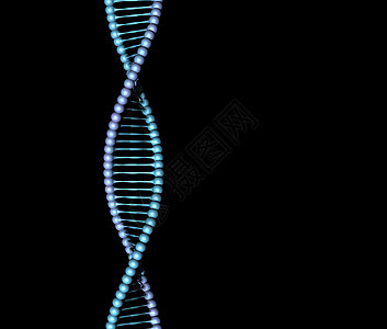 黑色上的DNA螺旋化学生活科学细胞药品微生物学克隆医疗生物学技术图片