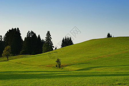夏季风景牧场场地地平线季节性多云农场孤独蓝色草地植物群图片